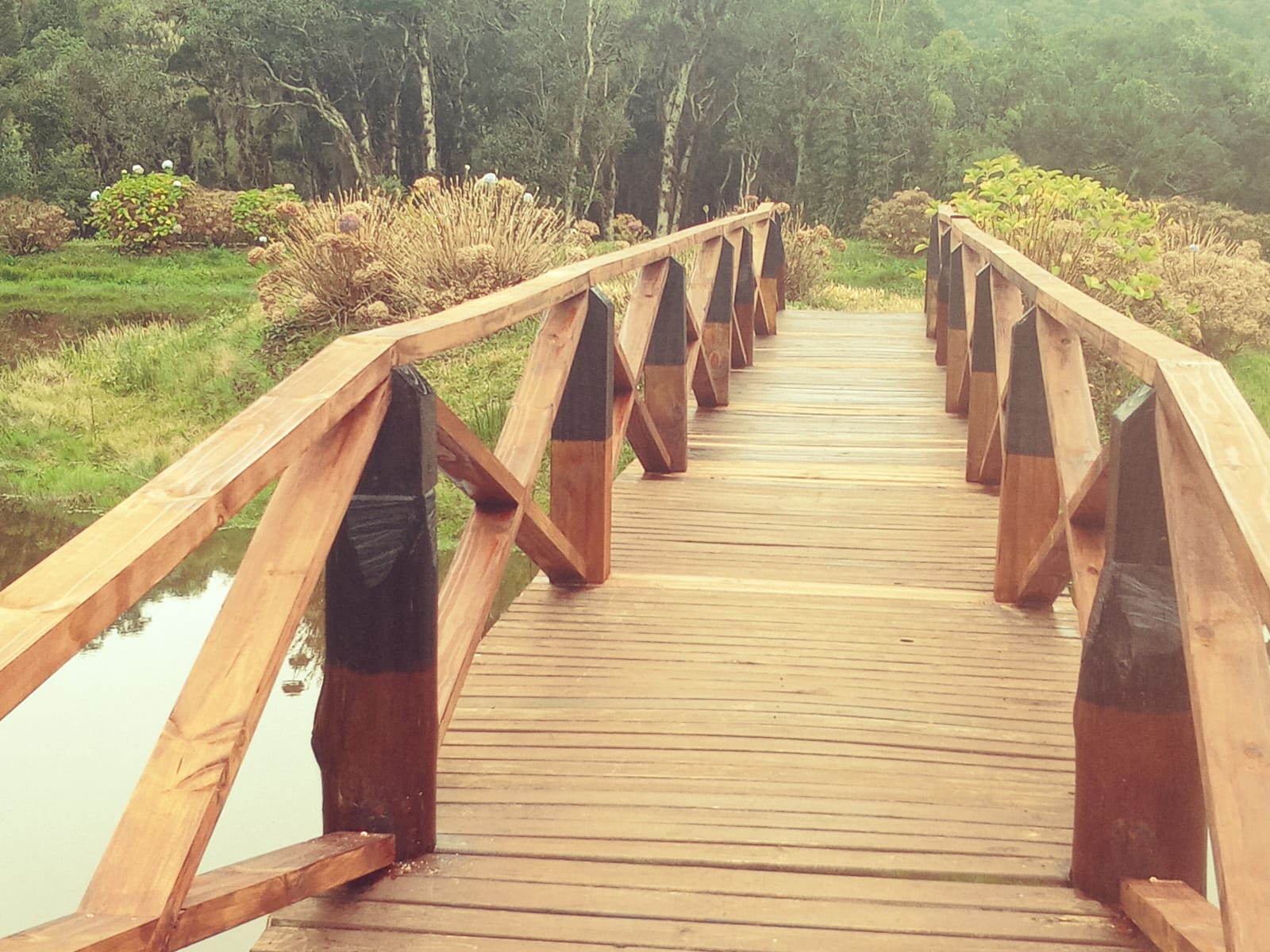 Móvel em madeira com acabamento renovado